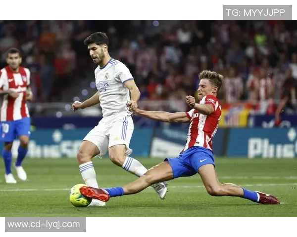 华路对阵邦比的精彩较量分析与赛前预测全方位解读